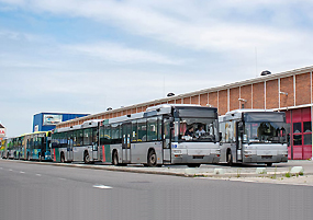 Bussen naar haven